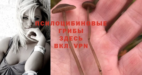 прущий лед Армянск