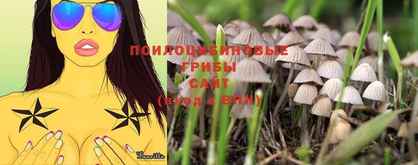 прущий лед Армянск