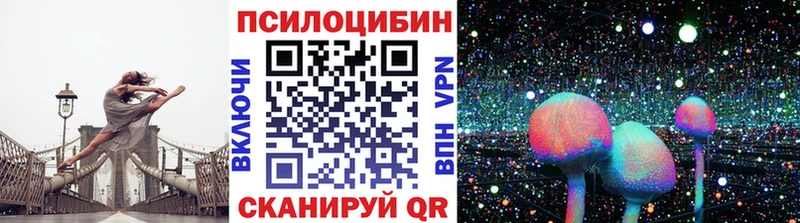 Галлюциногенные грибы Psilocybe  хочу   Сурск 