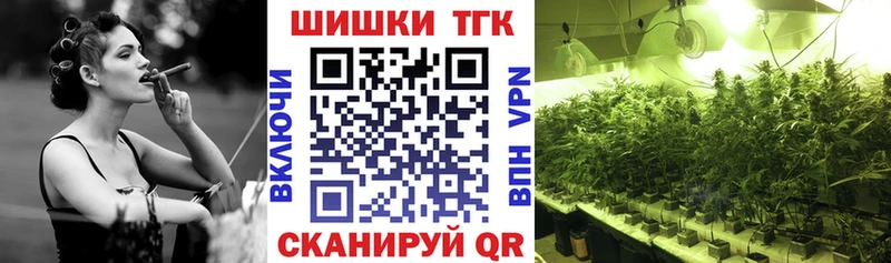Канабис сатива Сурск